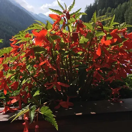 Christophorus Neustift im Stubaital