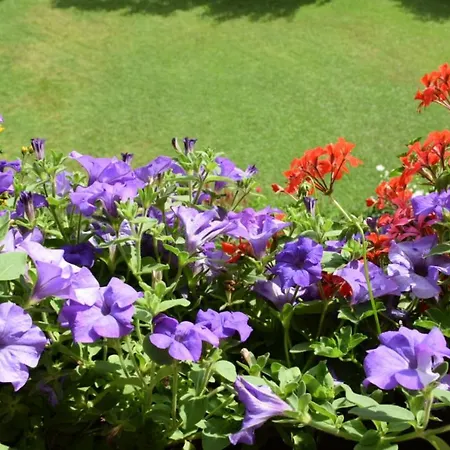 Lejlighed Christophorus *