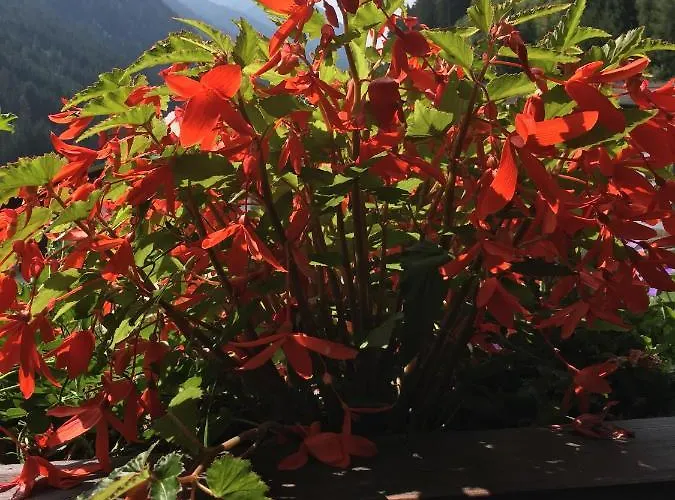 Christophorus 施图拜河谷新施蒂夫特